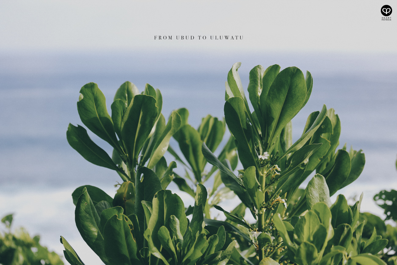 somethingaboutpatrick portraits asianmale asianman bali ubud uluwatu bulgari four seasons