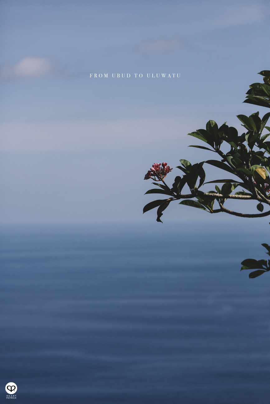 somethingaboutpatrick portraits asianmale asianman bali ubud uluwatu bulgari four seasons