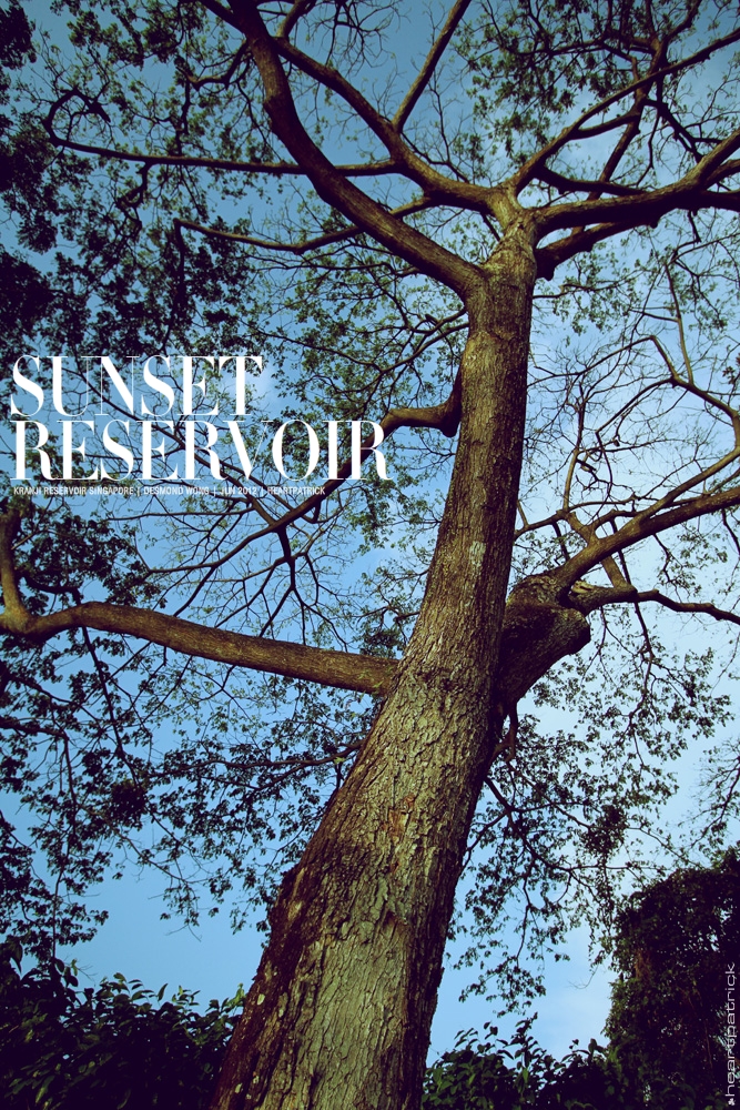 desmond wong singapore male portrait